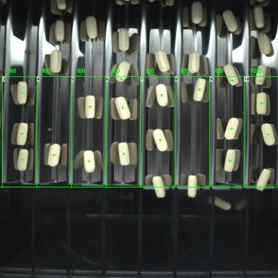 Machine d'inspection visuelle automatique de comprimés à 2 canaux 2 KW