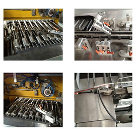 Machine automatique de cartonnage des biscuits Pour les biscuits à la chocolatine Machine d'emballage de boîte de biscuits Machine d'emballage de carton